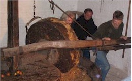 Pressing the perry pears