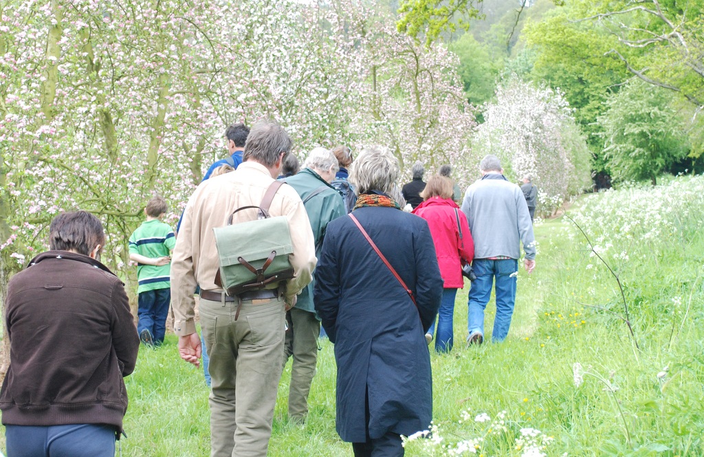 Walking around Putley