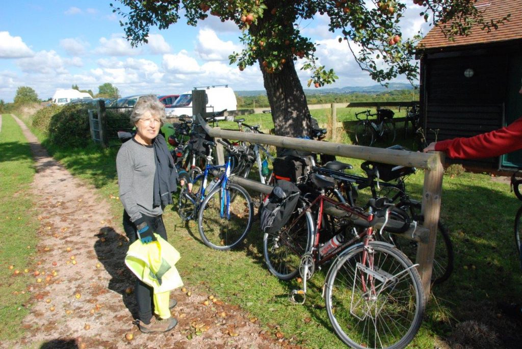 Big Apple Bike Ride The Big Apple Association