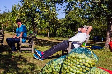 Enjoying the harvest