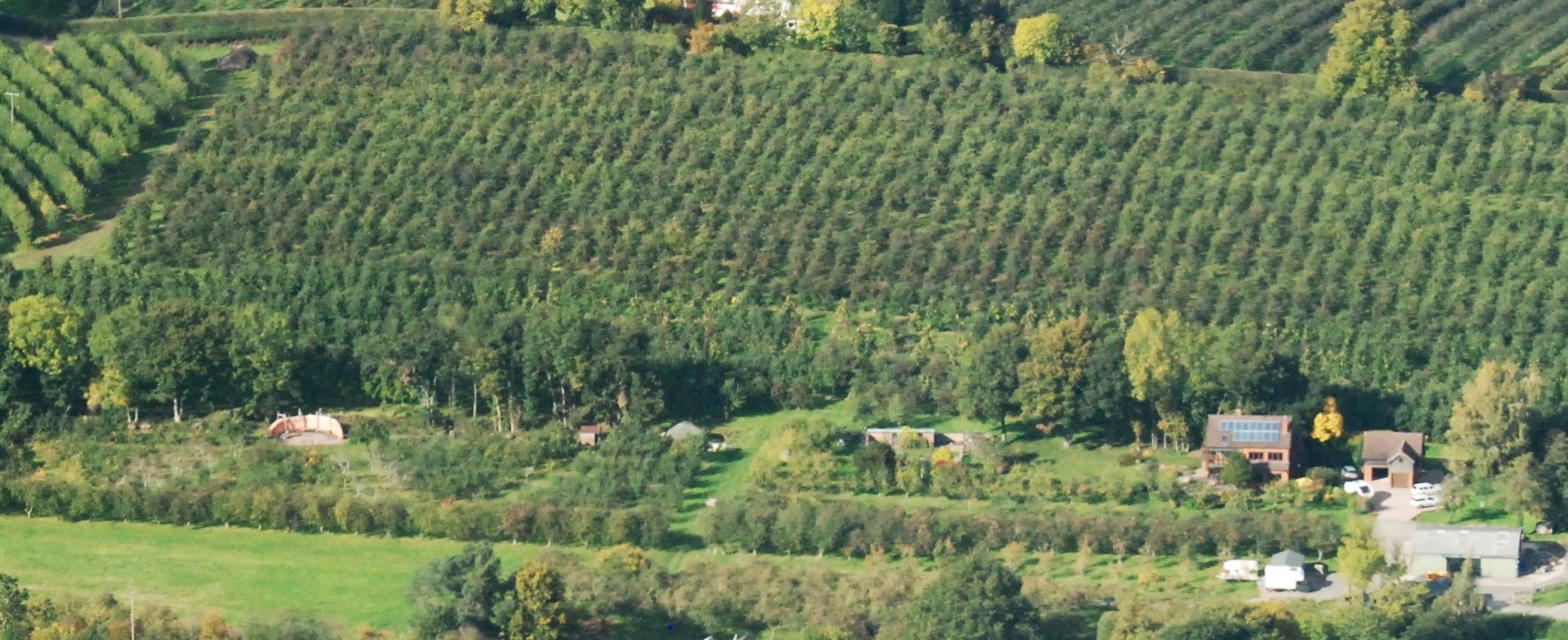 Dragon Orchard from the air