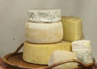 Cheese and Cider Pairing session -1, £15 per person.