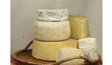 Cheese and cider – a tasting experience Session 1