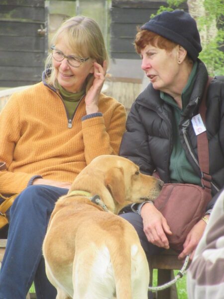 Audience at Dragon Orchard